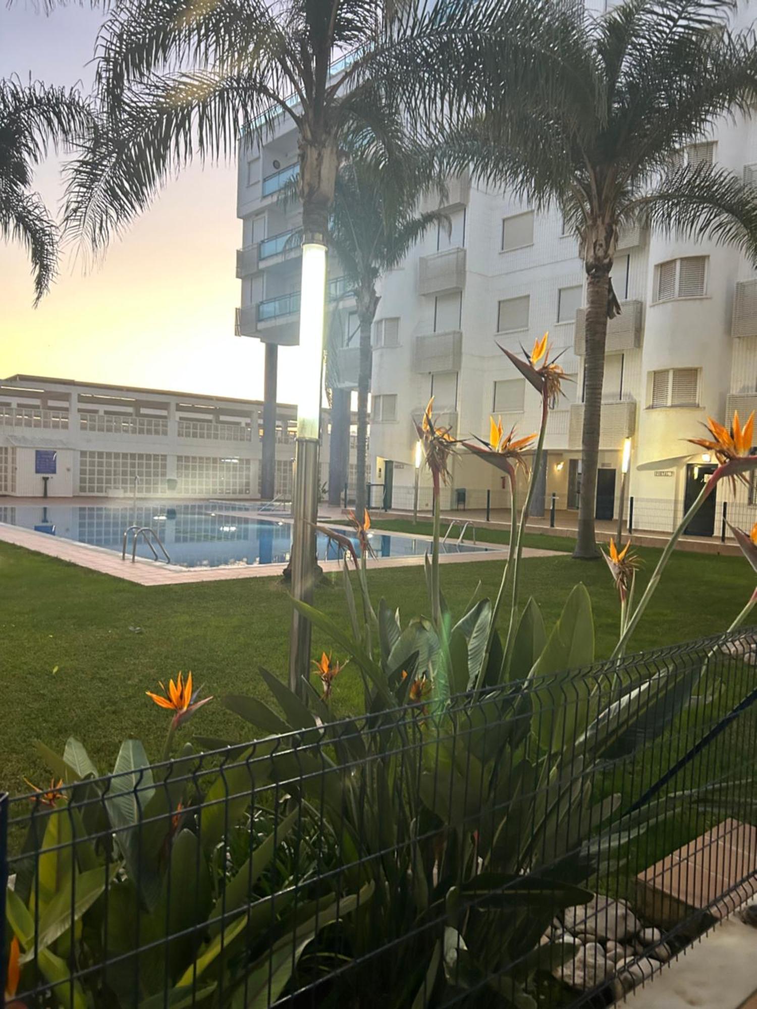 Sunny Apartment Daimús Buitenkant foto